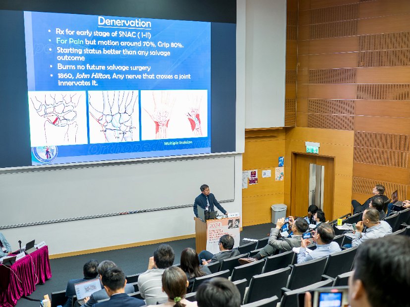 HK Wrist Course 2024- Seminar  - 83 of 257